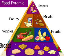Using the Food Pyramid above and the website http://www.fns.usda.gov 